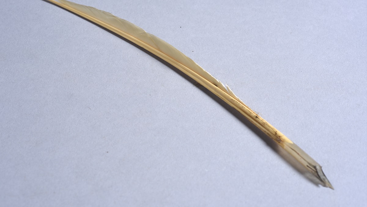 Feather quills found from Soane's time | soane
